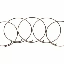 Fulcrum Sperrklinkenfedern 5-RM0-005 Für MTB Freilaufkörper