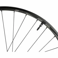 E-thirteen LG1 Plus Downhill Boost 29" Laufradsatz 16 E-thirteen LG1 Plus Downhill Boost 29" Laufradsatz -Fulcrum-Laden 468688