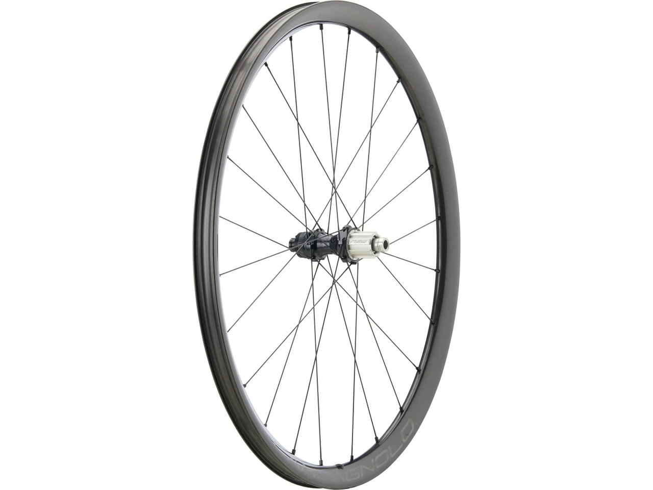 Campagnolo® Levante Carbon Disc Center Lock 28" Laufradsatz 5 Campagnolo® Levante Carbon Disc Center Lock 28" Laufradsatz – Bild 5